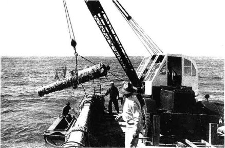 Above: the HMS Winchester’s cannons being dredged from the ocean.