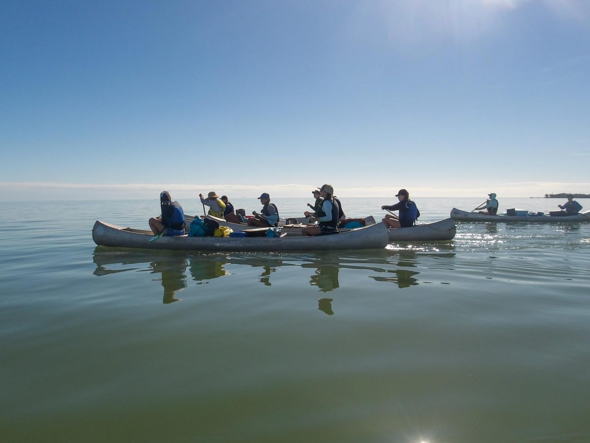 Ninth graders canoe through the Everglades